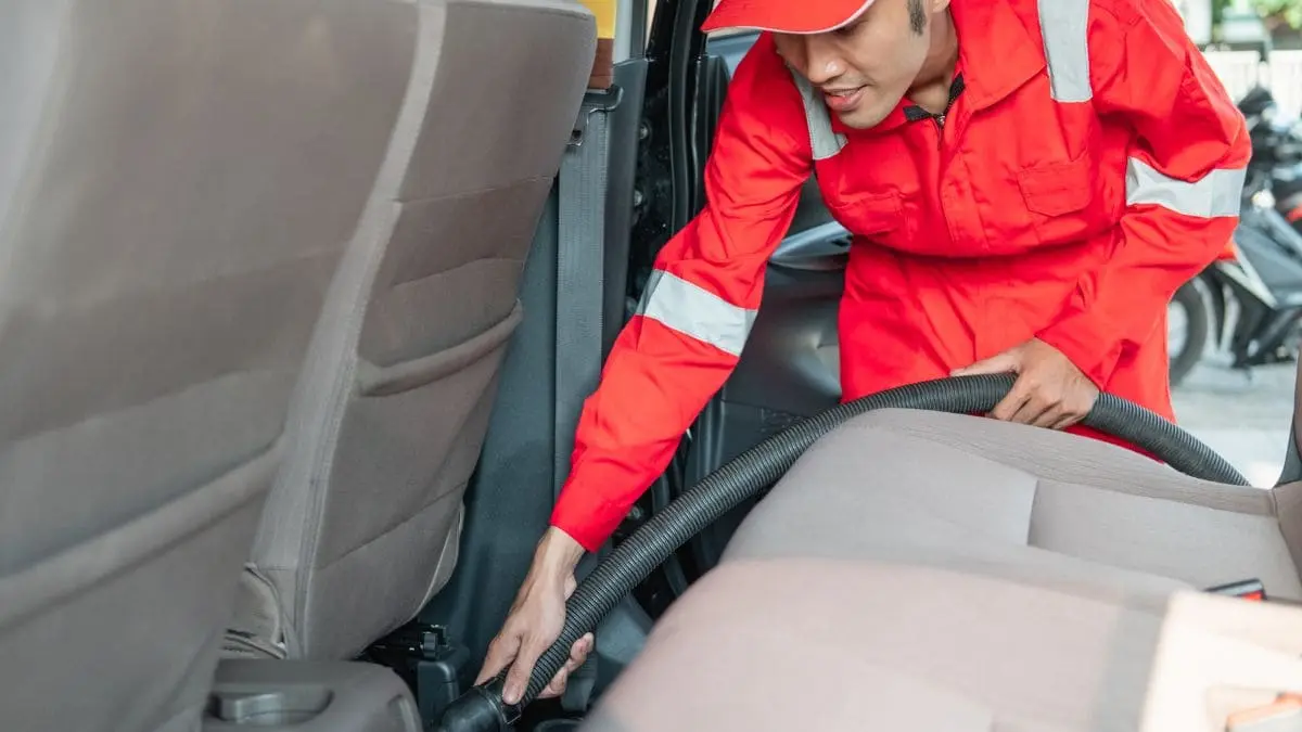 Vacuum Cleaner to remove Pet hair from car
