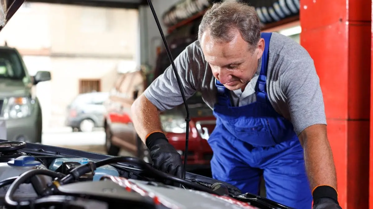 Car Specialist in Perth
